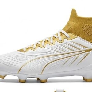 Vision Pro FG